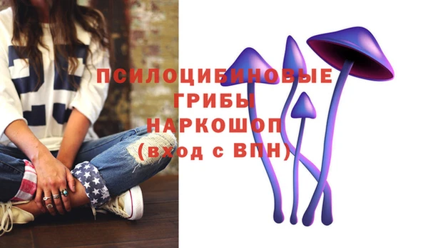 хмурый Горнозаводск