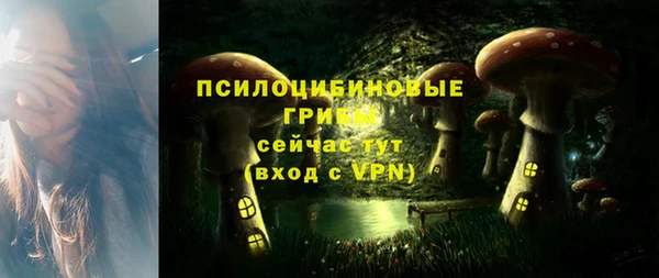 PSILOCYBIN Горняк