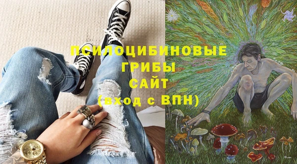 прущая мука Козловка