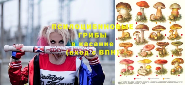 МДПВ Козельск